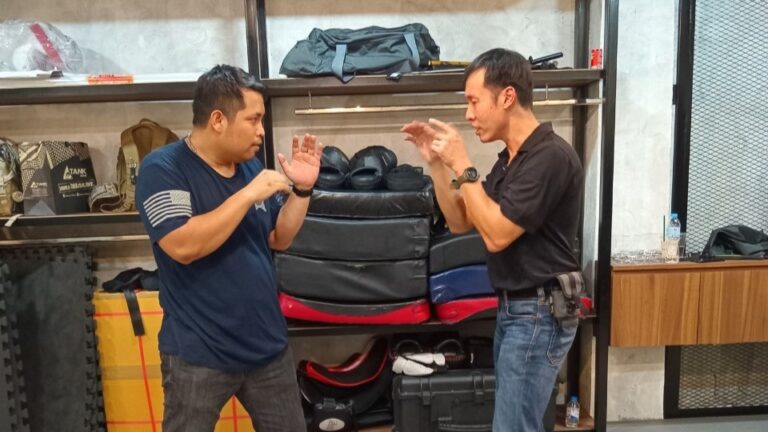 Hand to Hand Combat Lv.2