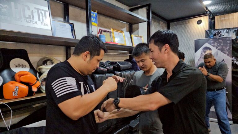 Hand to Hand Combat Lv.3